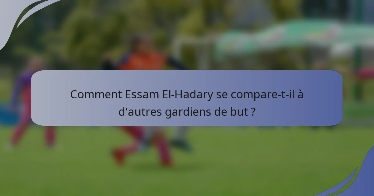 Comment Essam El-Hadary se compare-t-il à d'autres gardiens de but ?