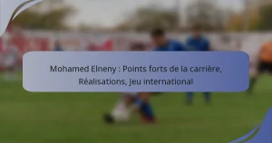 Mohamed Elneny : Points forts de la carrière, Réalisations, Jeu international