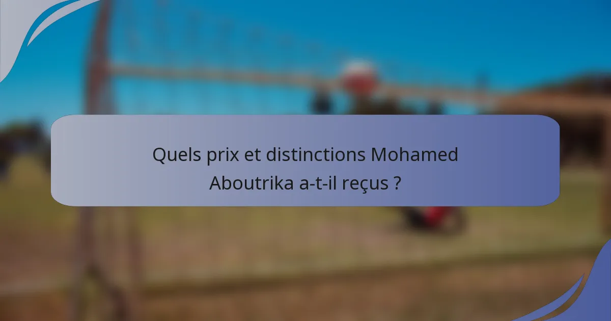 Quels prix et distinctions Mohamed Aboutrika a-t-il reçus ?